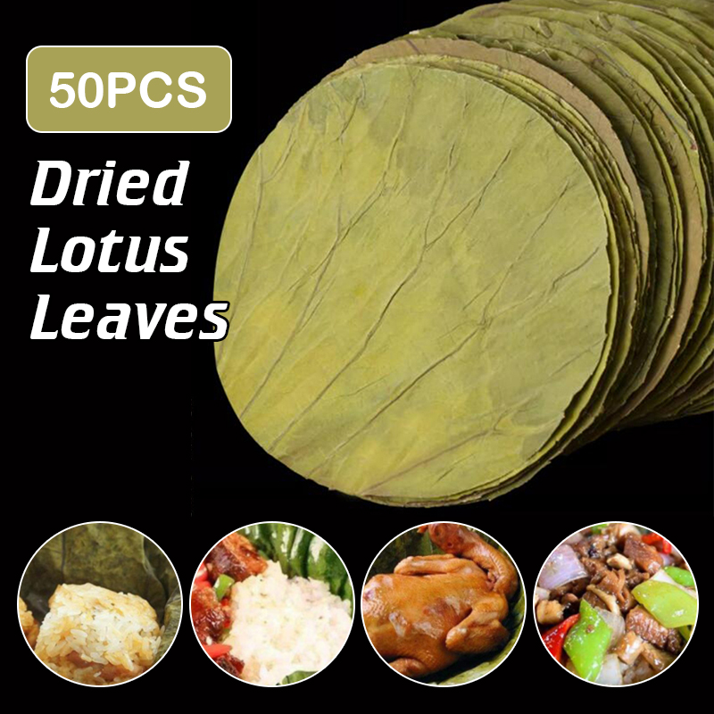 Home Cooking Recipes - 50 Uds. Disco grande de hojas