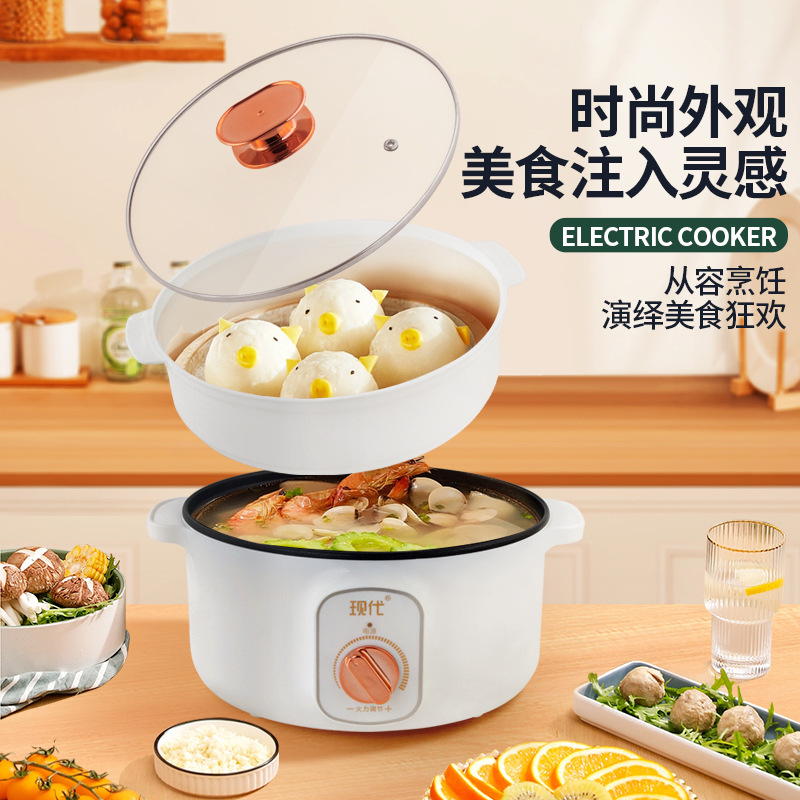 Mini olla eléctrica multifunci - Home Cooking Appliances reseña y precio