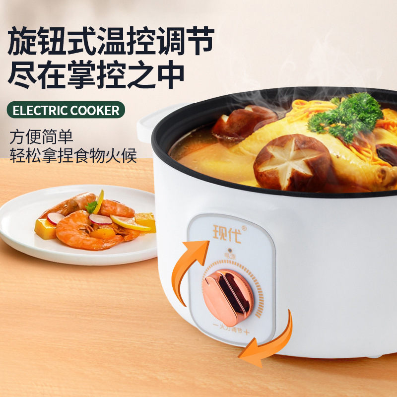 Mini olla eléctrica multifunci - Home Cooking Appliances reseña y precio
